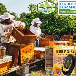 LOVILDS™ Bee Poison All-in-One Cream US Dermatologist Approved