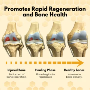 Bee venom joint treatment patches