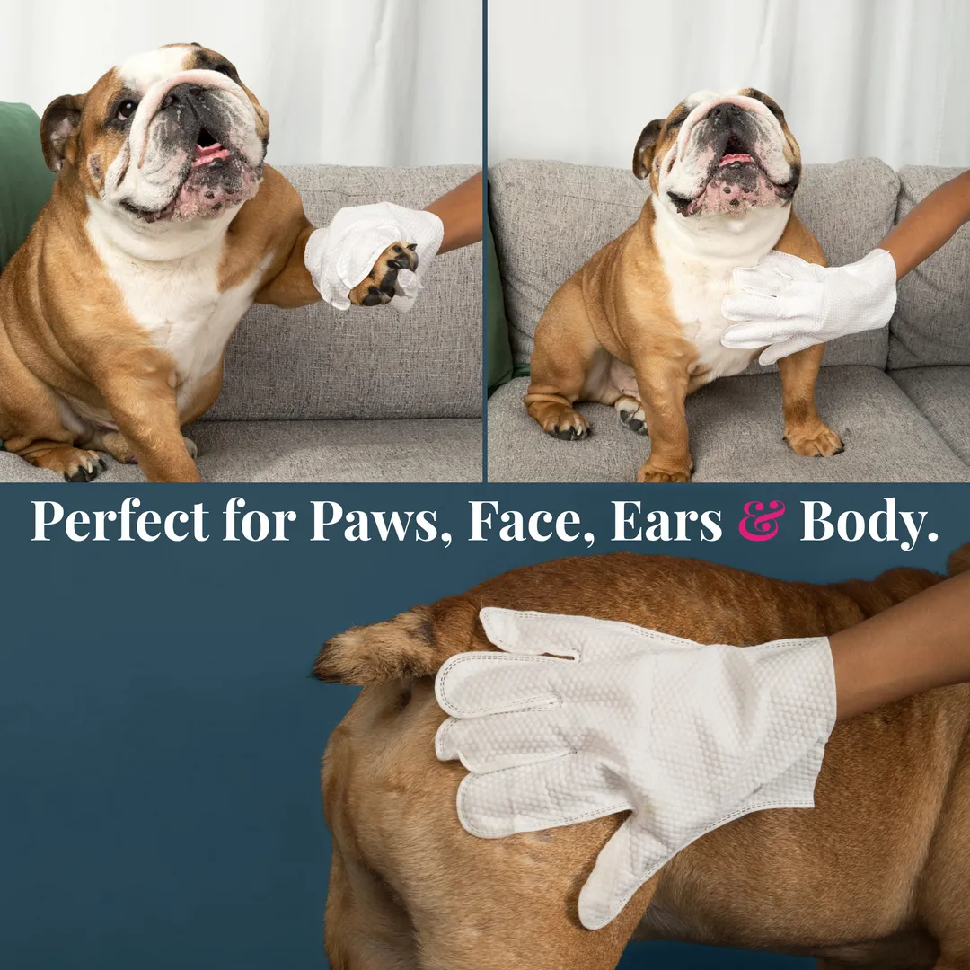 NeuroLabs™ Pro Gloves — Clean your pup in 2 minutes
