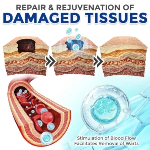 flysmus® Spermidine cream