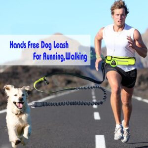 Handsfree Bungee Dog Leash