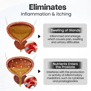 BiancatTM BeeBreathe Prostate Care Nasal Therapy Inhaler