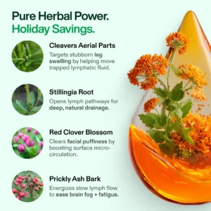 Lymphatic Drainage Wellness Drops