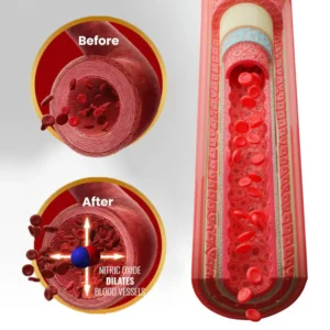 Oveallgo® NanoLipo HardX Performance Ampoules Prox