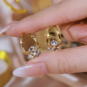 everyday wellness magnetic earrings