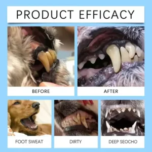 oral care liquid for pets