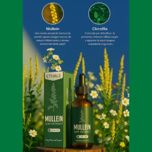 chlorophyll and mullein lung cleanse supplement