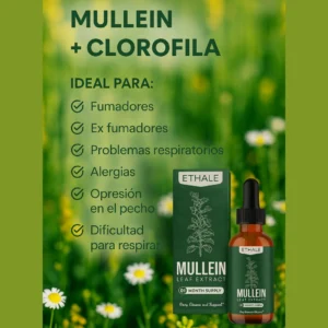 100% chlorophyll and mullein liquid drops