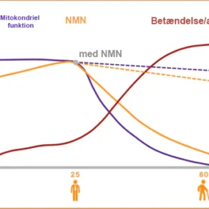 【Cvreoz® 𝐎𝐟𝐟𝐢𝐜𝐢𝐚𝐥 𝐁𝐫𝐚𝐧𝐝 𝐒𝐭𝐨𝐫𝐞】Women's Probiotic NMN Health Capsules