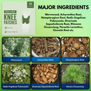 PainGuard™ Knee Pain Relief Patch