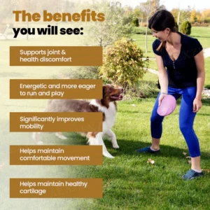 daily joint care supplement drops