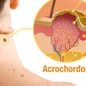 About Us Privacy Policy Terms of Service Delivery Policy