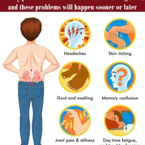 Natural Kidney Support & Wellness Formula