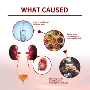 Natural Kidney Support & Wellness Formula