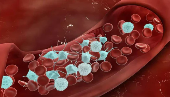 confidence focused body oil