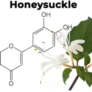 Introducing Fivfivgo™ GlucoEase Sugar Down Nasal Mist!