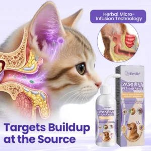 everyday pet care routine