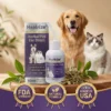 healrize herbal pet ear care drops