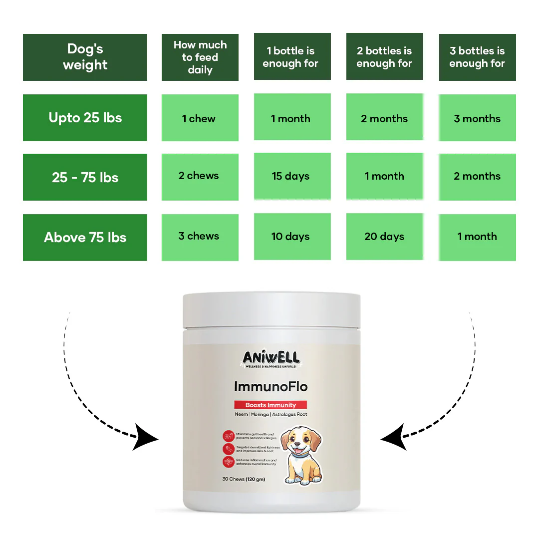 dog lifestyle care item