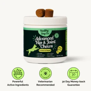 gentle daily chew concept