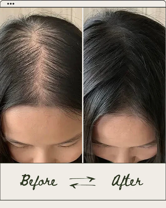 organic hair shampoo