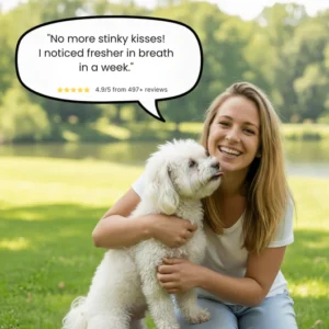 dental powder oral care