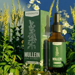 daily wellness routine