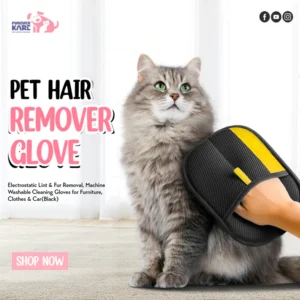 everyday pet grooming tool