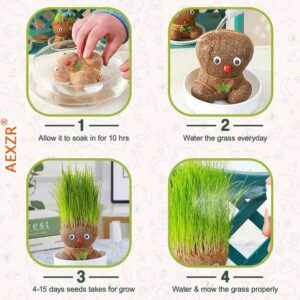 easy grow grass head figure