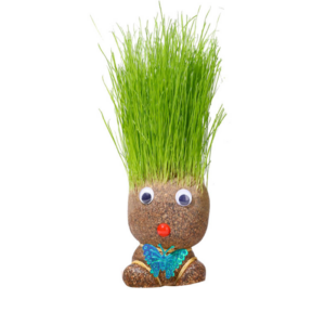 fun classroom grass doll