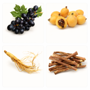 herbal breathing support formula lungero