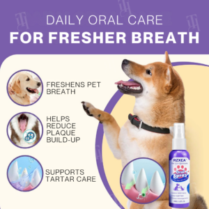 how to apply rzxea spray for cat and dog dental care