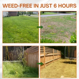 aexzr 6-hour formula