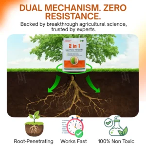 non-glyphosate weed spray