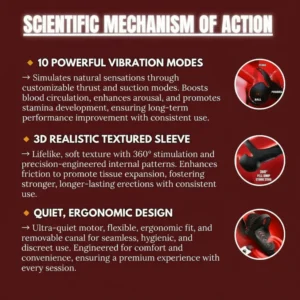 safe and effective home trainer with alisanda official