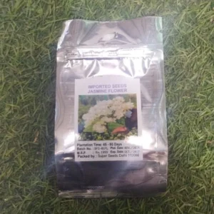 100 pcs jasmine flower seeds