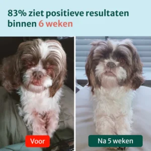 best probiotics for boosting natural skin immunity