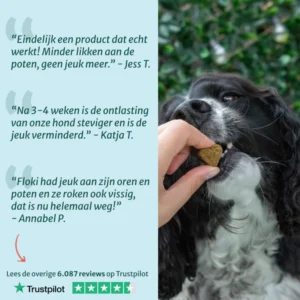 anti-itch forte before and after allergy relief