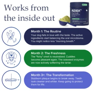 RZXEA™ Tartar Remover before and after results on dental calculus