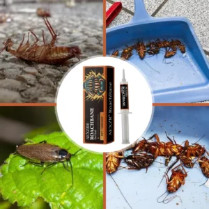 Best effective gel bait for German and American cockroaches AEXZR