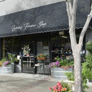 Realistic artificial Boston fern plant for home decor