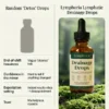 Lymara drainage drops for lymphatic support