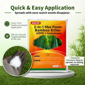 Best effective systemic killer for invasive bamboo and rhizomes