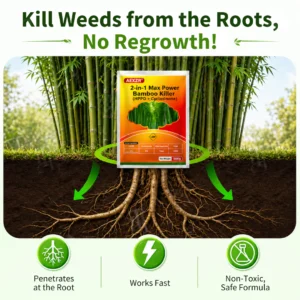 AEXZR Bamboo Killer before and after results on overgrown bamboo