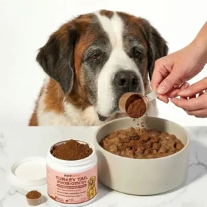 Natural probiotic supplement for dogs with sensitive stomachs